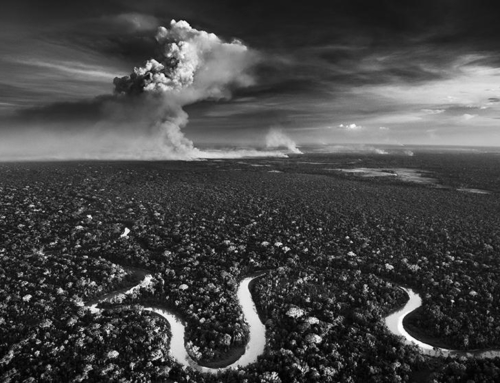 Encontro imaginário entre Sebastião Salgado e Victor Moriyama.